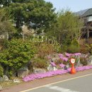 석현마을 이미지