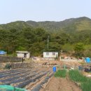 내서읍725 이미지