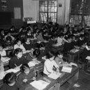 봉래초등학교 이미지