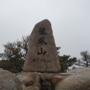 심초교 이미지