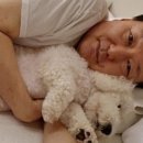 토리펫 이미지