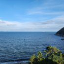 더마레 104 이미지