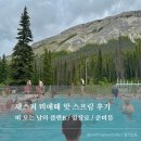 #6] 비오는 날의 완벽한 플랜B, 재스퍼 미에떼 핫스프링(Miette Hot Springs) 후기 | 입장료 / 준비물...