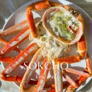 강남활어 | 속초 대게 맛집 추천 애견동반 가능한 대포항 횟집 강남활어