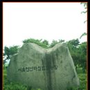 천년광장 Daum카페