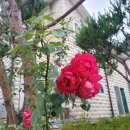 동자경로당 이미지