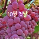 10월 2일 아침에 좋은 글 이미지