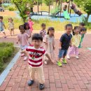 해바라기어린이집마당 이미지