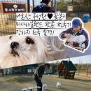 미사아일랜드멍카페 네이버블로그