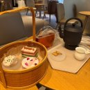 티스톤 | 상하이 | 티스톤 tea'stone 후기 (메뉴, 번역)