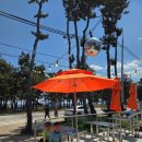 GS25 강릉사천해변점 이미지