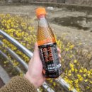 제일섬유 | 미에로화이바 제로 칼로리 후기 총정리, 식이섬유 음료 추천