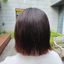 지아네김밥 | 준오헤어 구의역점 구의역 미용실 복구매직 지아원장
