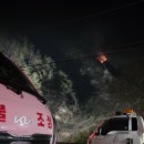 충남 서산시 산불 ‘대응 2단계’ 행안부·소방청 총력 대응 이미지