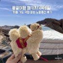 무수1-4낙차공 | 몽골여행 패키지 4박6일 처음 가도 걱정 없는 노랑풍선 후기