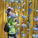지민34 | 지민 &lt;&#39;MUSE&#39; Semeraldo Garden&gt; 팝업 후기