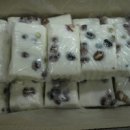 콩설기