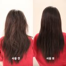 AZH 리페어 스칼프 케어 샴푸 &amp; 리페어 앤 트리트먼트 ,건조한모발 극손상모 추천