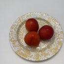 양평투어리즘 | 6월 일상(2) (‾◡◝)