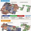 숲속의아침2 이미지