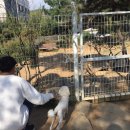 인천개공원 카페 이미지