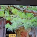 울산옹기박물관 네이버블로그