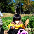 윤우농장 Daum카페