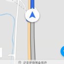 베리어프리 뮤지컬 친절한 돼지씨 이미지