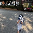 새싹교통어린이공원 이미지