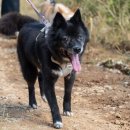 별빛쉼표 이미지