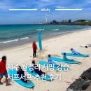 젤라렌탈 | 제주도 월정리 서핑 강습은 월정리 해수욕장 서프서프 추천