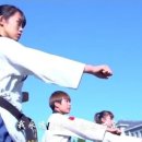 오성태권도 이미지