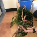 변산중학교 이미지