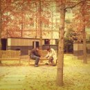 행복한 멍이세상 이미지