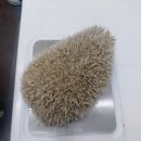 공원옆동물의료센터 이미지