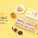도담기획