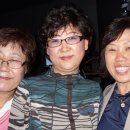 속리초등학교 이미지