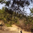 거북이주유소 이미지