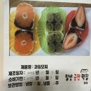 궁전 | 택배 딸기모찌 궁전떡집 내돈내산 후기