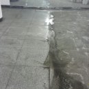 경산농협옥산지점 이미지