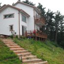 푸른소리오션 이미지