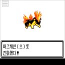 세진소프트웨어 이미지