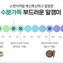 성보헬스 네이버블로그