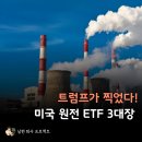 (주)메타종합건설 | 트럼프가 찍었다, 미국 원전 ETF 3대장 URA, URNM, NLR