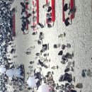 무럭이농장2 이미지