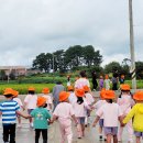 주산초병설유치원 이미지