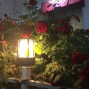 케이팝코인노래연습장 이미지