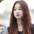 퍼피스타 이미지