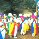 완도 장좌리 당제 및 당굿 네이버블로그