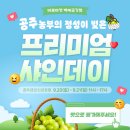 공주맛있는과일